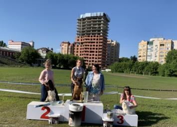 Всероссийская выставка собак ранга САС ЧФ ОАНКОО