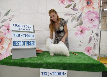 Цаца отлично JCAC в Тольятти